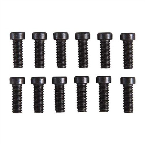 Il Socket Head Screw Kit offre 168 viti di alta qualità per anelli e basi, inclusi strumenti per personalizzazioni, tutto a un prezzo competitivo.