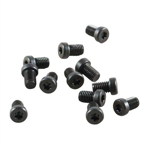 Kit di viti TORX da 240 pezzi, include teste T-10 e T-15, perfette per anelli e basi; design di alta qualità, facile da usare e senza slittamenti.