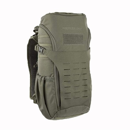 Lo zaino Eberlestock H31 Bandit offre 935 pollici cubi di spazio, un pannello MOLLE laserato e compatibilità con sacche d'acqua da 2L o 3L, ideale per ogni giorno.
