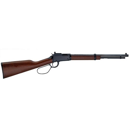 Il fucile Henry Lever Small Game Rifle 20