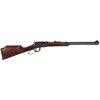 HENRY REPEATING ARMS HENRY LEVER VARMINT EXP 17HMR