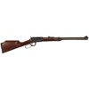 HENRY A LEVA VARMINT EXP 17HMR