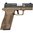 DIAMONDBACK DBAM29 9MM LUGER 3.5" BBL (1)17RD MAG BLACK/FDE