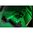 VIRIDIAN C5 UNIVERSAL GREEN LASER SIGHT
