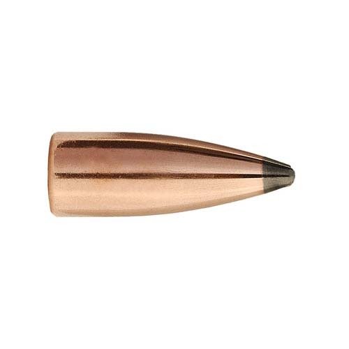 Le palle Varminter 22 Caliber (0.224