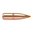 Scopri i proiettili Nosler Ballistic Tip Varmint 22 Caliber (0.224") Spitzer 60GR. Precisione e prestazioni di caccia in un unico prodotto. 🦌🔫 Acquista ora!