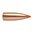 Scopri i proiettili Nosler Ballistic Tip Lead-Free™ 22 Caliber per una caccia senza piombo. Espansione rapida e precisione eccellente. Perfetti per varmint. 🦊🔫 Scopri di più!